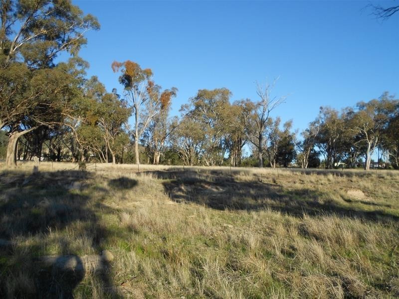 1005 Pine Mount Road, Woodstock NSW 2538