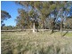 1005 Pine Mount Road, Woodstock NSW 2538