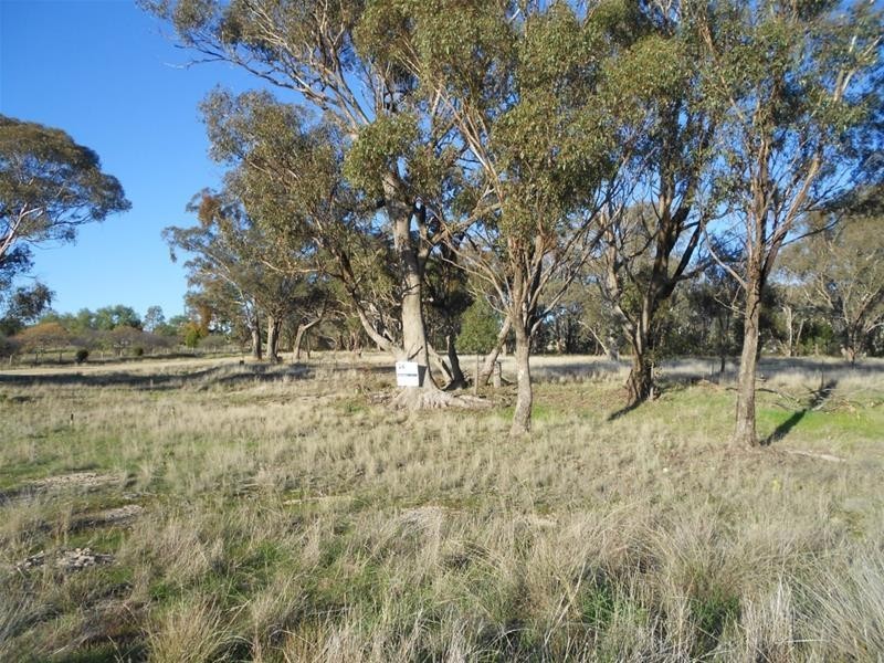 1005 Pine Mount Road, Woodstock NSW 2538