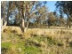 1005 Pine Mount Road, Woodstock NSW 2538