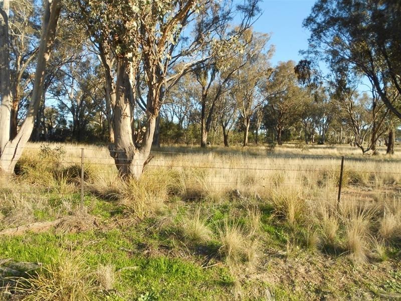 1005 Pine Mount Road, Woodstock NSW 2538