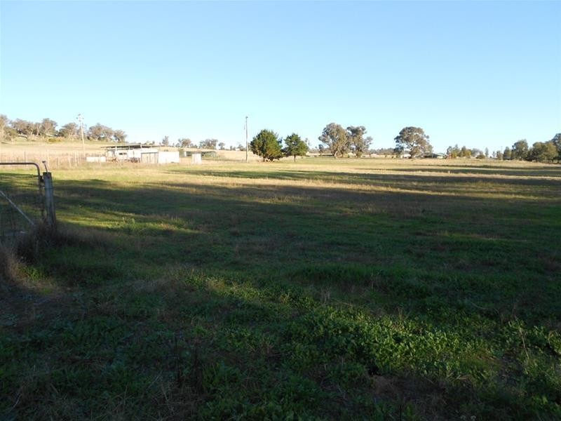 1005 Pine Mount Road, Woodstock NSW 2538