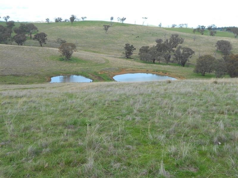 Reg Hailstone Way, Woodstock NSW 2793