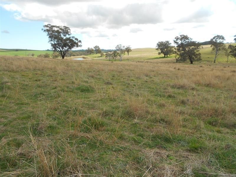 Reg Hailstone Way, Woodstock NSW 2793