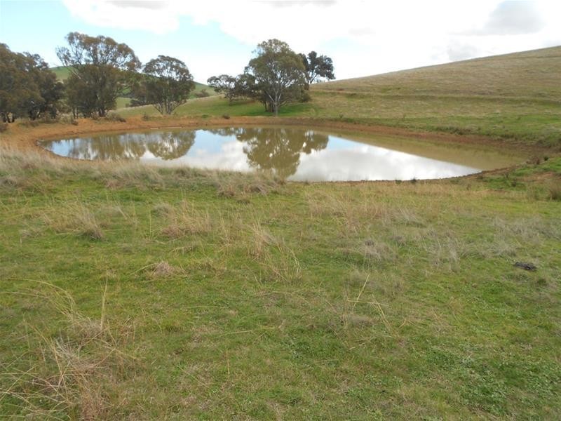 Reg Hailstone Way, Woodstock NSW 2793