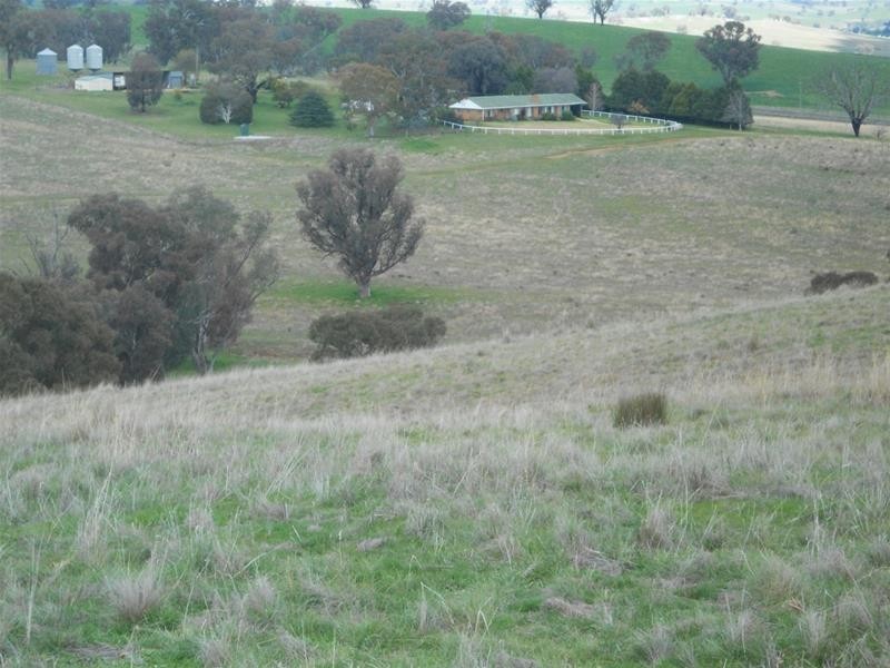 Reg Hailstone Way, Woodstock NSW 2793