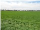 Waterview Road, Gooloogong NSW 2805