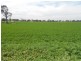 Waterview Road, Gooloogong NSW 2805