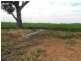 Waterview Road, Gooloogong NSW 2805