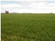 Waterview Road, Gooloogong NSW 2805