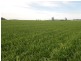 Waterview Road, Gooloogong NSW 2805