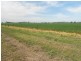 Waterview Road, Gooloogong NSW 2805