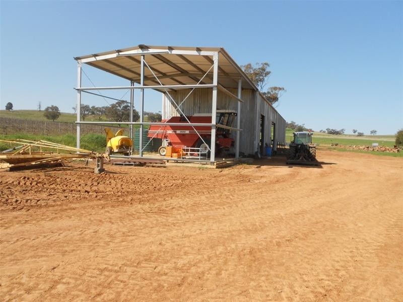 1166 Fish Fossil Drive, Canowindra NSW 2804