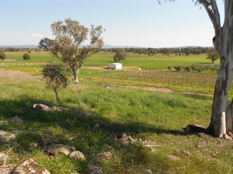 1166 Fish Fossil Drive, Canowindra NSW 2804