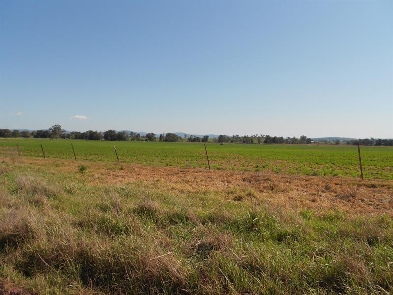 1166 Fish Fossil Drive, Canowindra NSW 2804