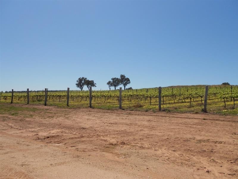 1166 Fish Fossil Drive, Canowindra NSW 2804