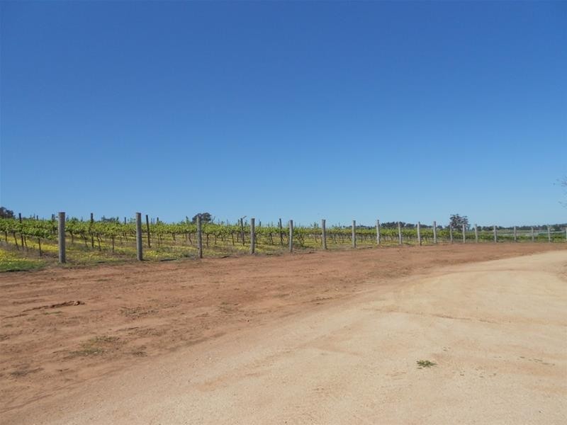 1166 Fish Fossil Drive, Canowindra NSW 2804