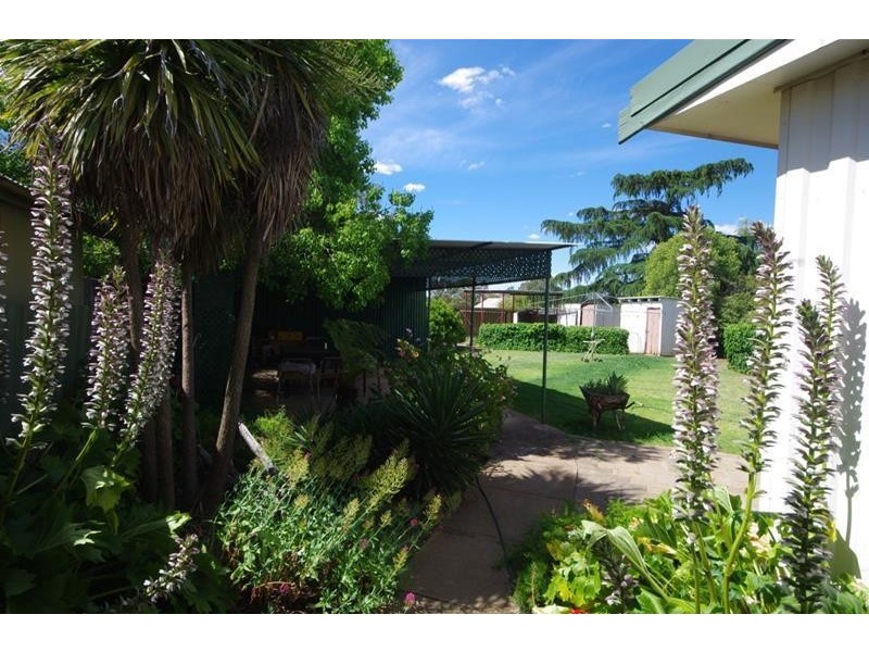 31 Forbes Street, Gooloogong NSW 2805