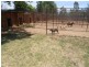 190 Kangarooby Road, Cowra NSW 2794