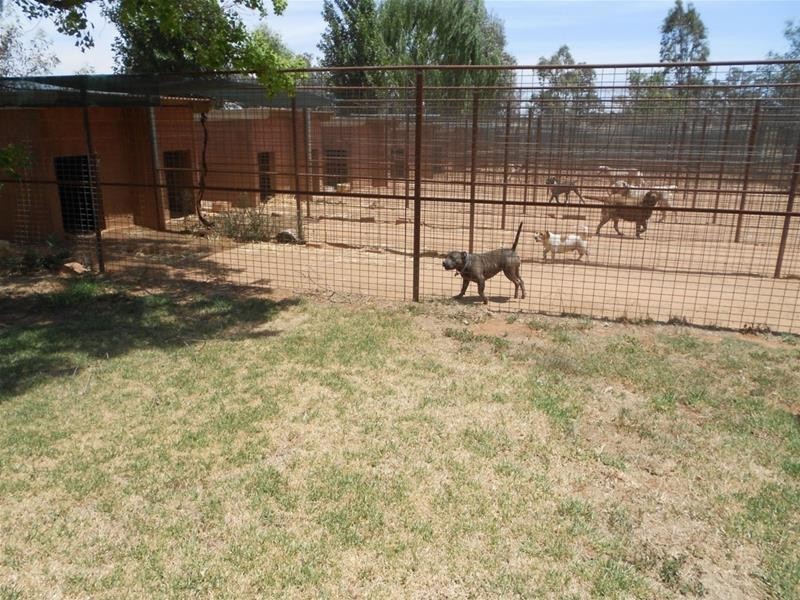 190 Kangarooby Road, Cowra NSW 2794