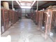 190 Kangarooby Road, Cowra NSW 2794