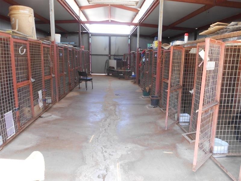 190 Kangarooby Road, Cowra NSW 2794