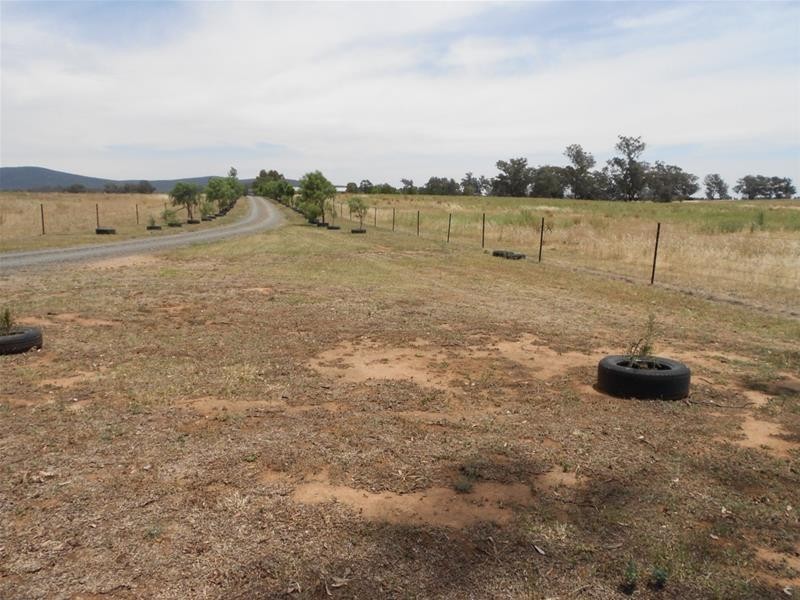 190 Kangarooby Road, Cowra NSW 2794