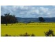 Middle Creek Road, Cowra NSW 2794
