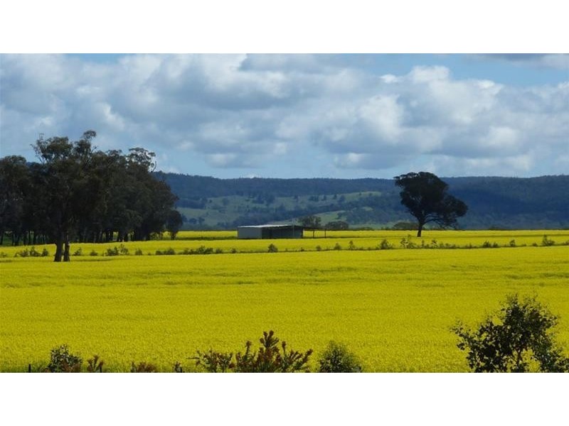 Middle Creek Road, Cowra NSW 2794