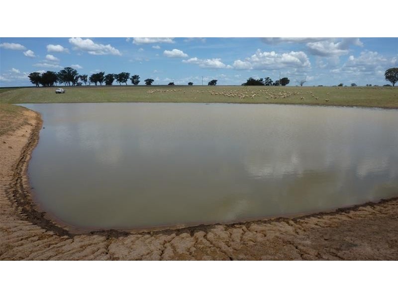 Middle Creek Road, Cowra NSW 2794