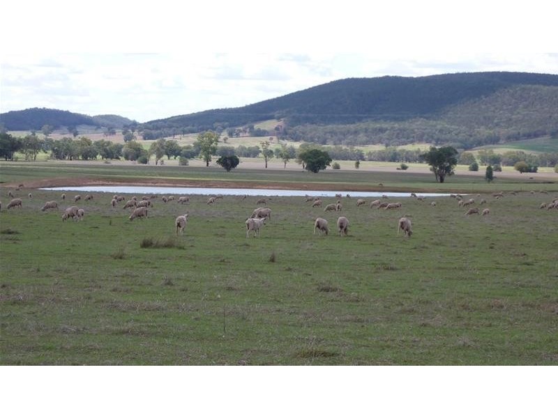 Middle Creek Road, Cowra NSW 2794