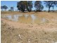 181 Elliotts Road, Cowra NSW 2794