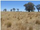 181 Elliotts Road, Cowra NSW 2794