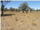 181 Elliotts Road, Cowra NSW 2794