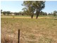 52 Goodacre Drive, Woodstock NSW 2793