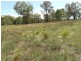 389 Mount McDonald Road, Wyangala NSW 2808