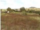 389 Mount McDonald Road, Wyangala NSW 2808