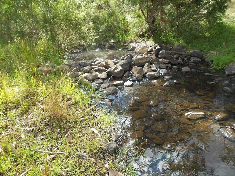 1642 Kangarooby Road, Gooloogong NSW 2805