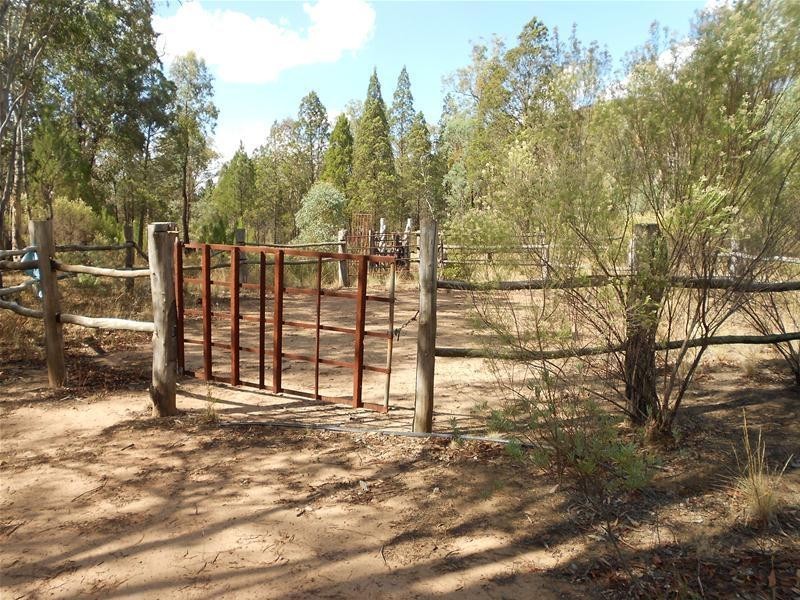 1642 Kangarooby Road, Gooloogong NSW 2805