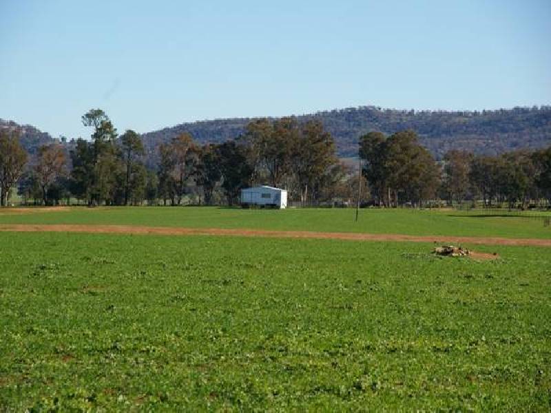 Grenfell Road, Gooloogong NSW 2805