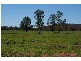 Grenfell Road, Gooloogong NSW 2805