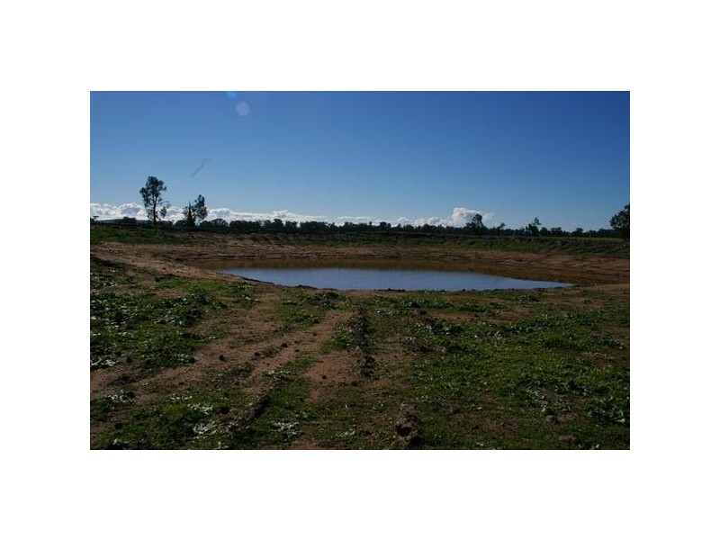 Grenfell Road, Gooloogong NSW 2805