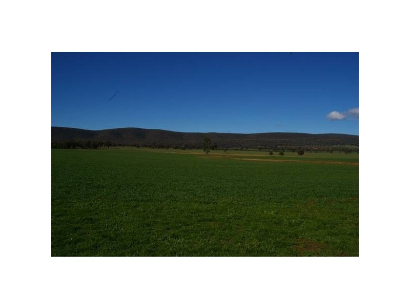 Grenfell Road, Gooloogong NSW 2805
