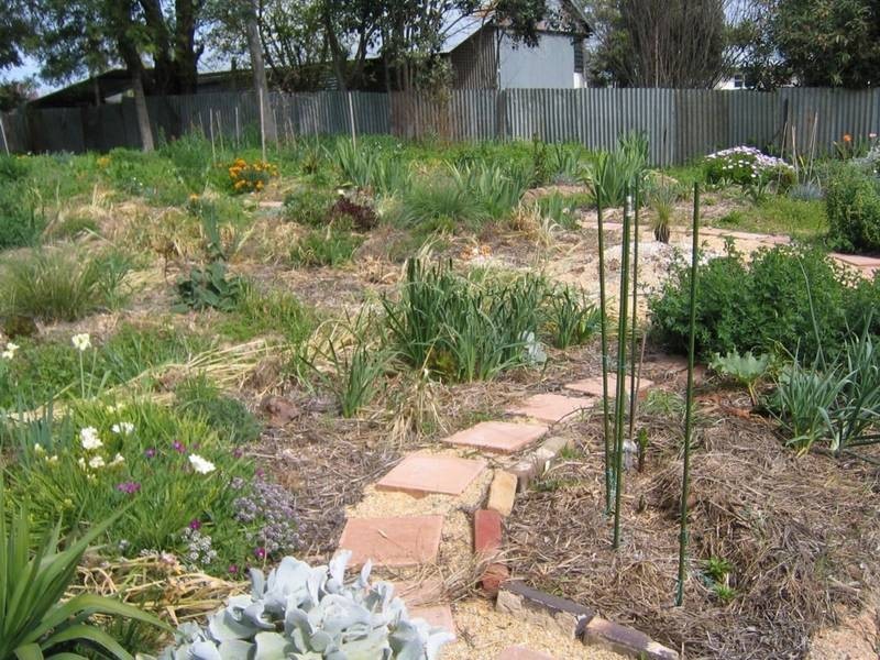 11 Argoon Street, Cowra NSW 2794