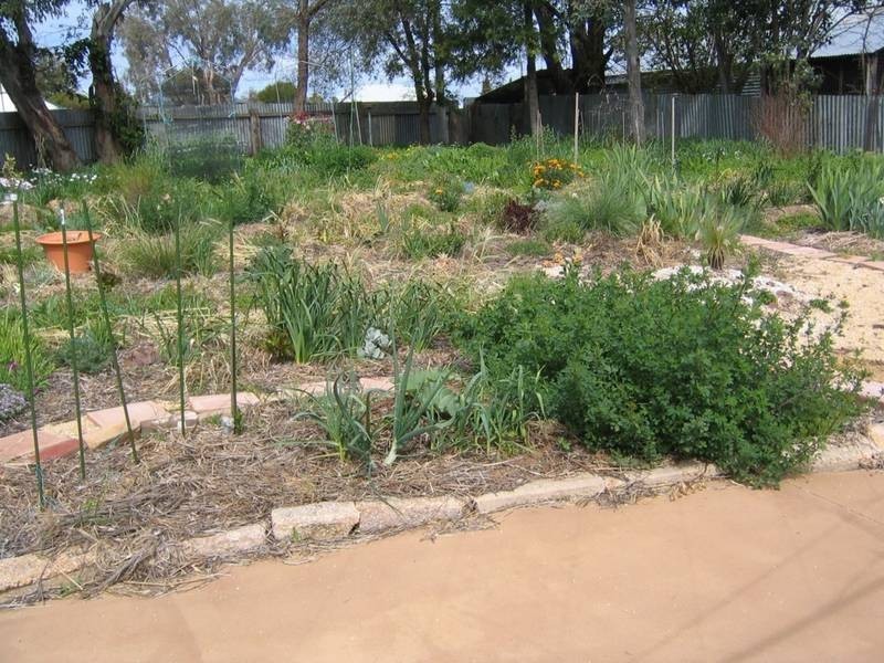 11 Argoon Street, Cowra NSW 2794