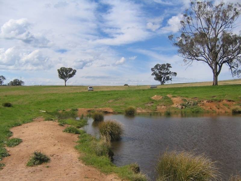 83 Horton Drive, Woodstock NSW 2793