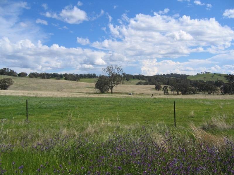 83 Horton Drive, Woodstock NSW 2793