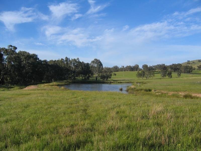 83 Horton Drive, Woodstock NSW 2793