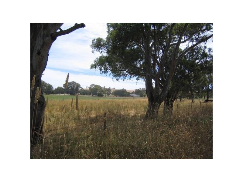 Goodacre Drive, Woodstock NSW 2793