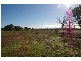 78 Cowra Road, Cowra NSW 2794